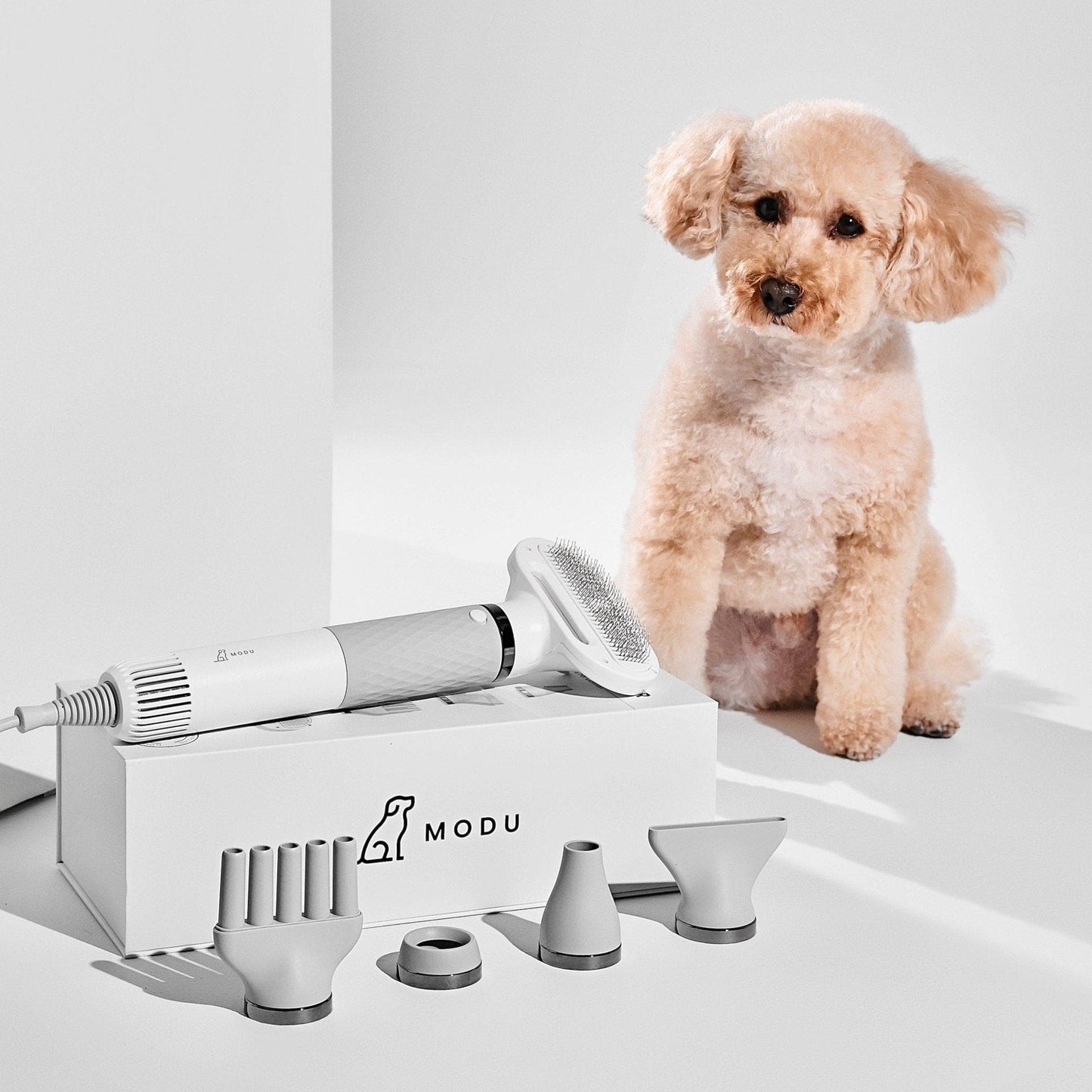 Say goodbye to soggy pets! Meet the SMART PET DRYER – the ultimate solution for quick and efficient drying! 🐾💨 #PetCare #SmartTech