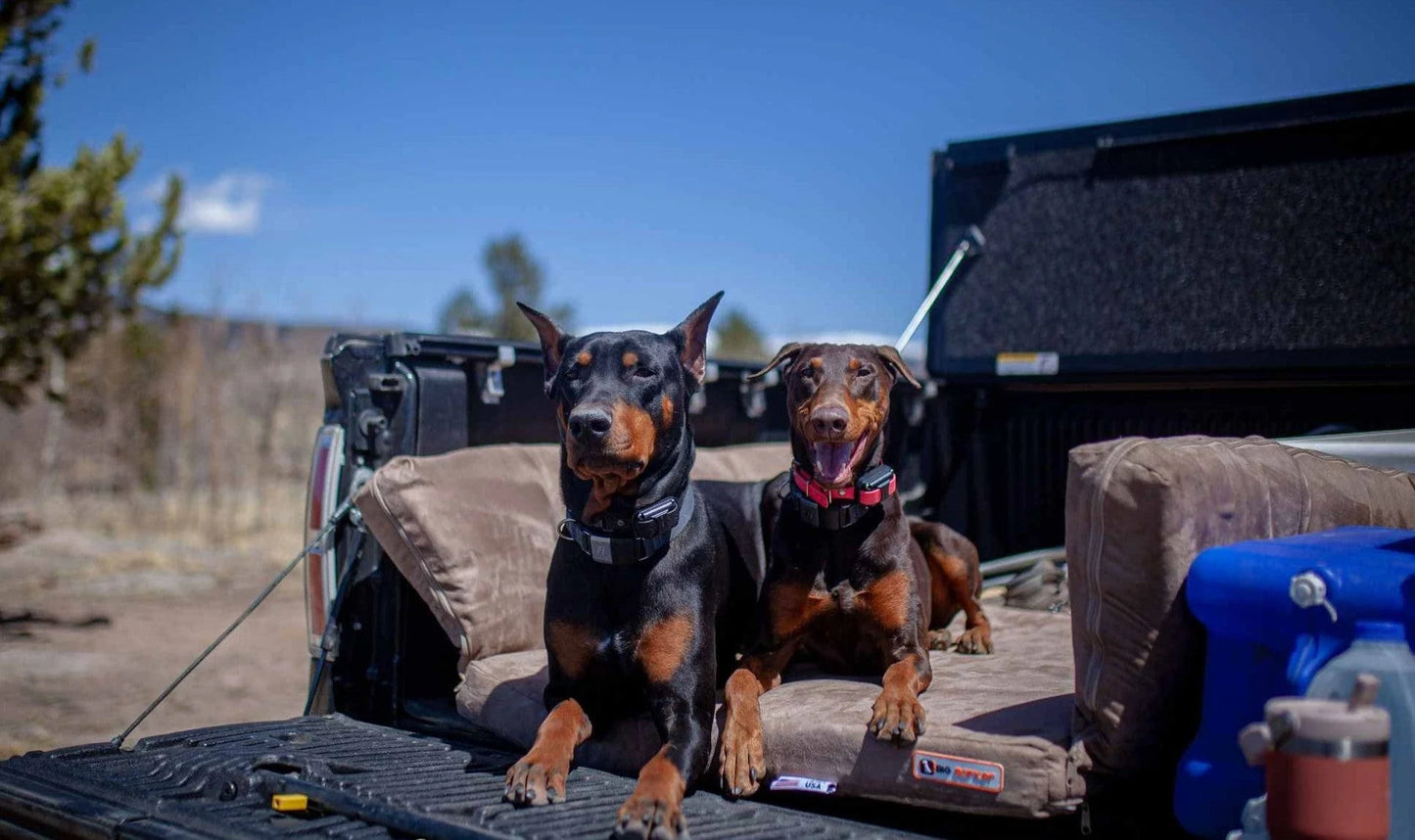 Transform Your Adventure with the Barker SUV Bed! πβ¨