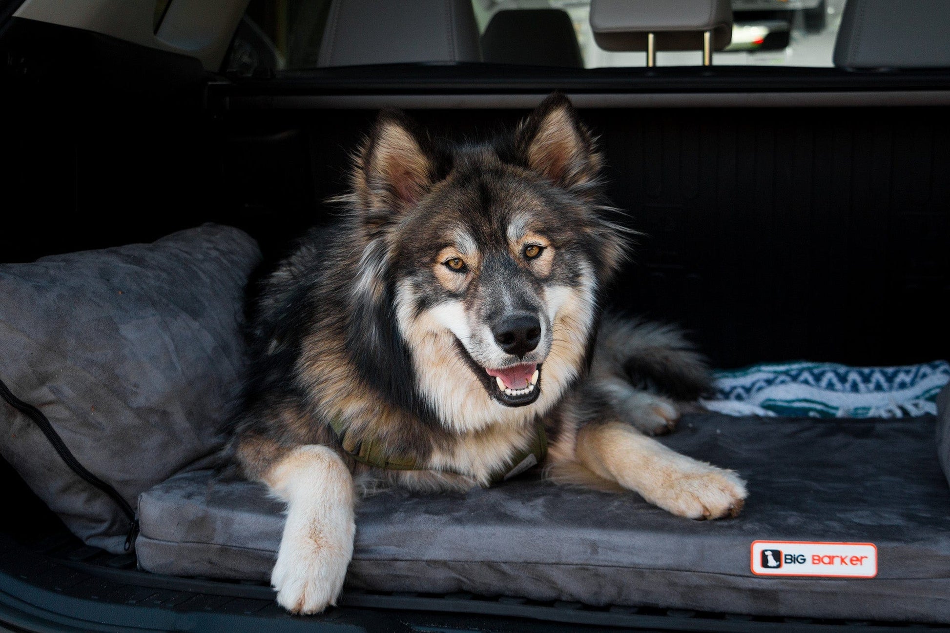 Transform Your Adventure with the Barker SUV Bed! 🚙✨