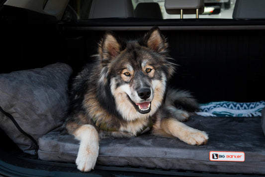 Transform Your Adventure with the Barker SUV Bed! 🚙✨