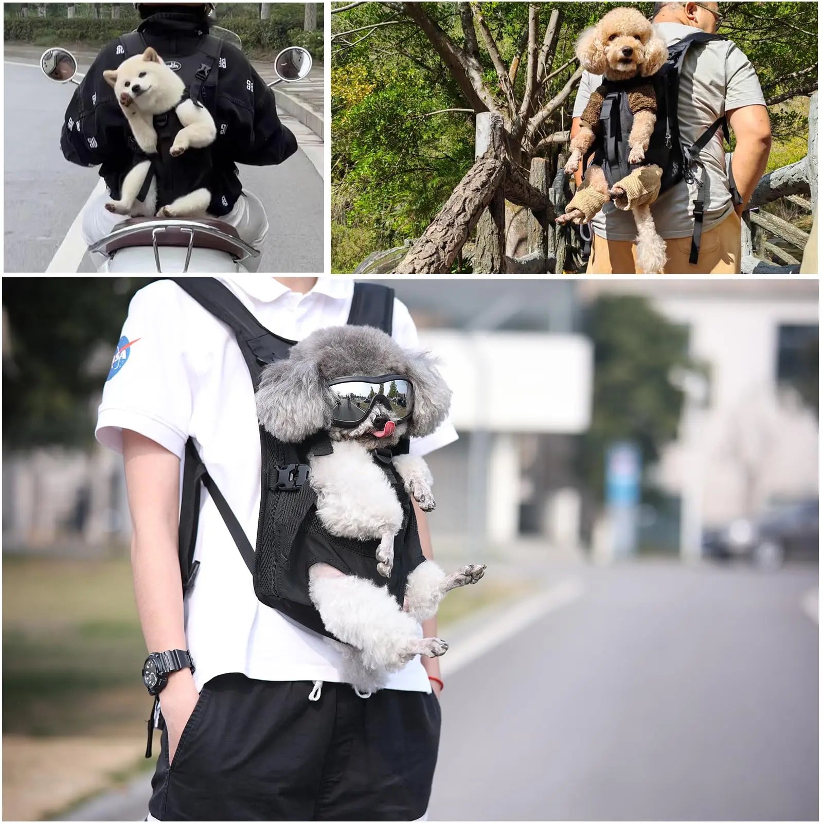 Eco-Friendly & Washable Pet Backpack – Perfect for Traveling with Your Chihuahua or Yorkshire Terrier! 🐾✈️❤️