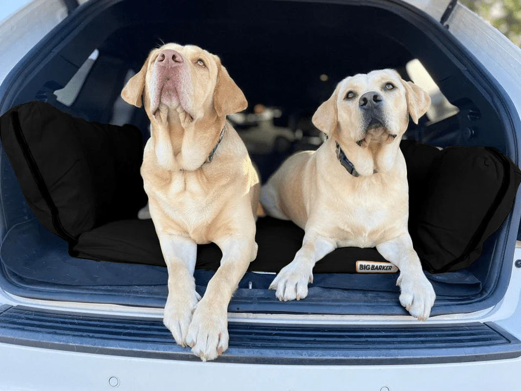 Transform Your Adventure with the Barker SUV Bed! 🚙✨