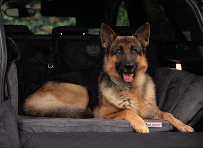 Transform Your Adventure with the Barker SUV Bed! 🚙✨