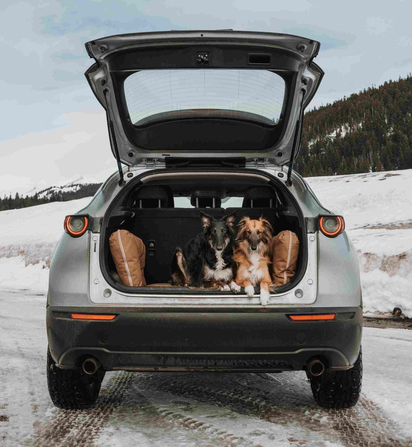 Transform Your Adventure with the Barker SUV Bed! 🚙✨