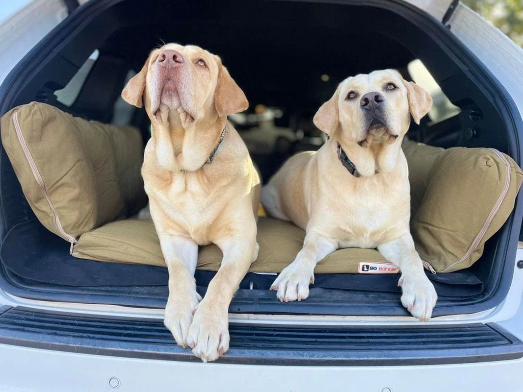 Transform Your Adventure with the Barker SUV Bed! 🚙✨