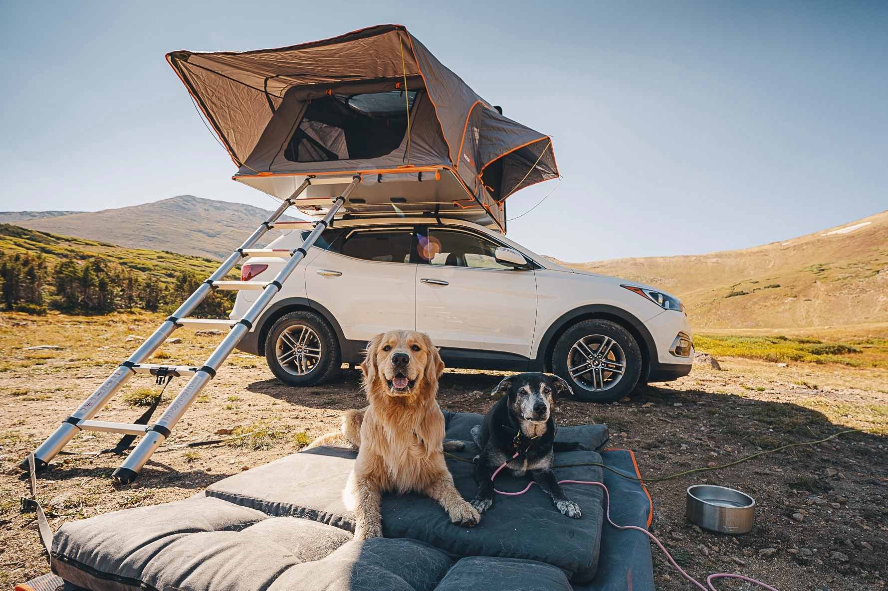 Transform Your Adventure with the Barker SUV Bed! 🚙✨