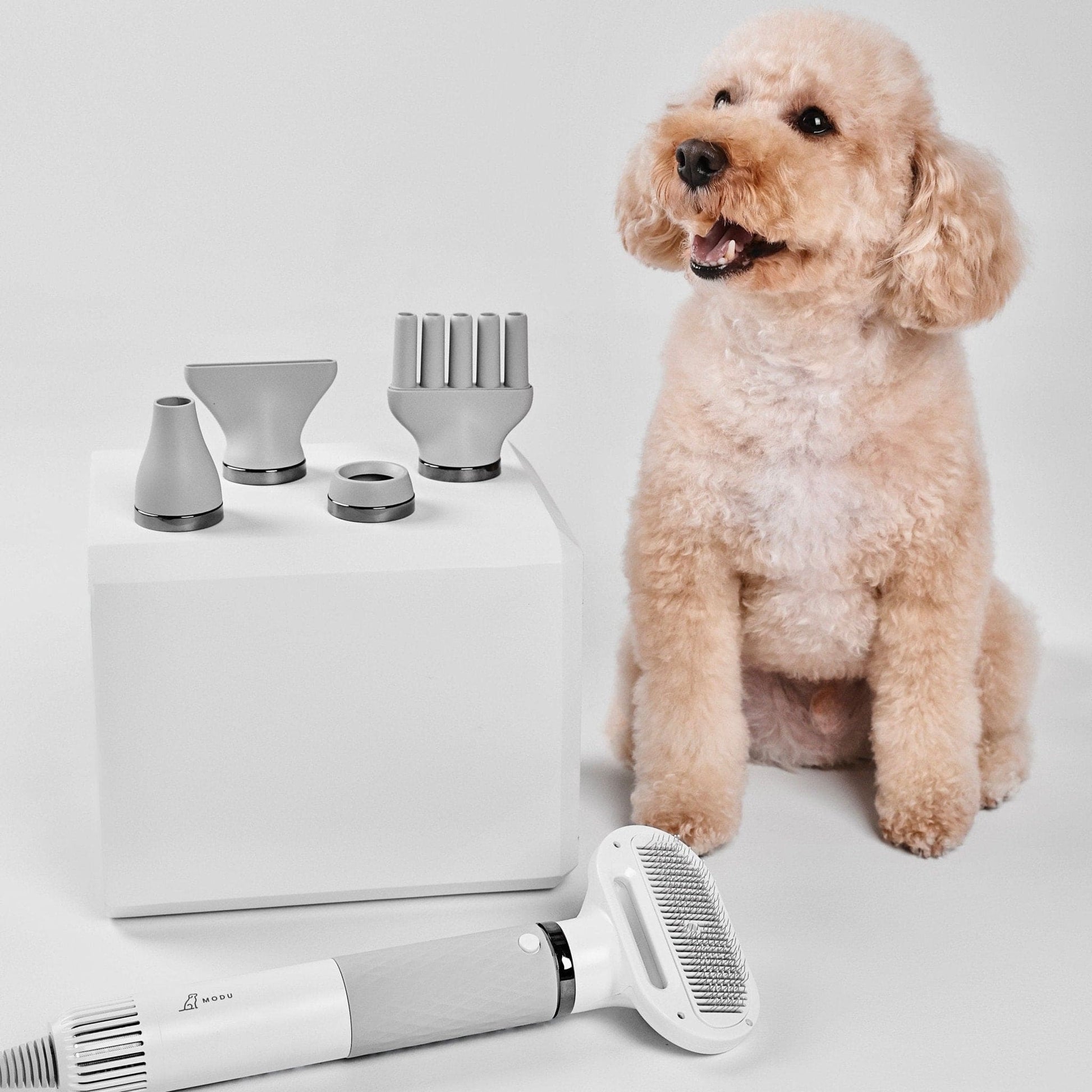 Say goodbye to soggy pets! Meet the SMART PET DRYER – the ultimate solution for quick and efficient drying! 🐾💨 #PetCare #SmartTech