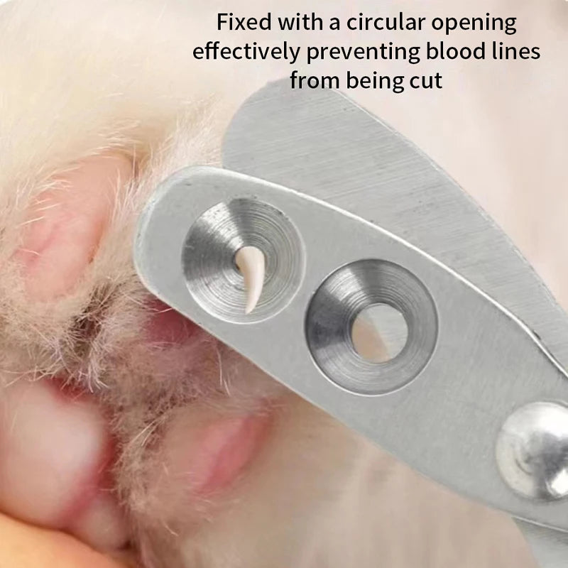 Sleek & Sharp: Professional Stainless Steel Nail Clippers for Your Furry Friends! Perfect for Small Cats & Dogs 🐾✂️ #PetGrooming #NailCare