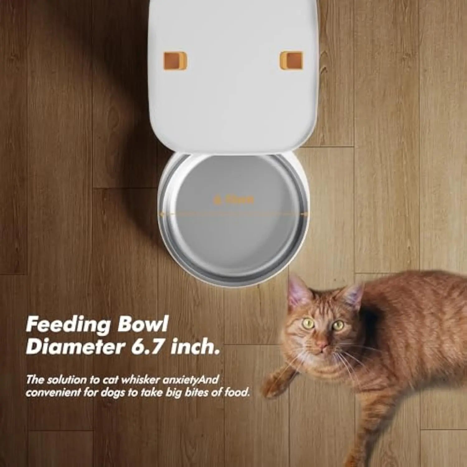 5G Automatic Cat Feeder with 1080P Camera Video Wifi Cat Food Dispenser Pet Smart Voice Recorder Remote Control Pet Auto Feeder