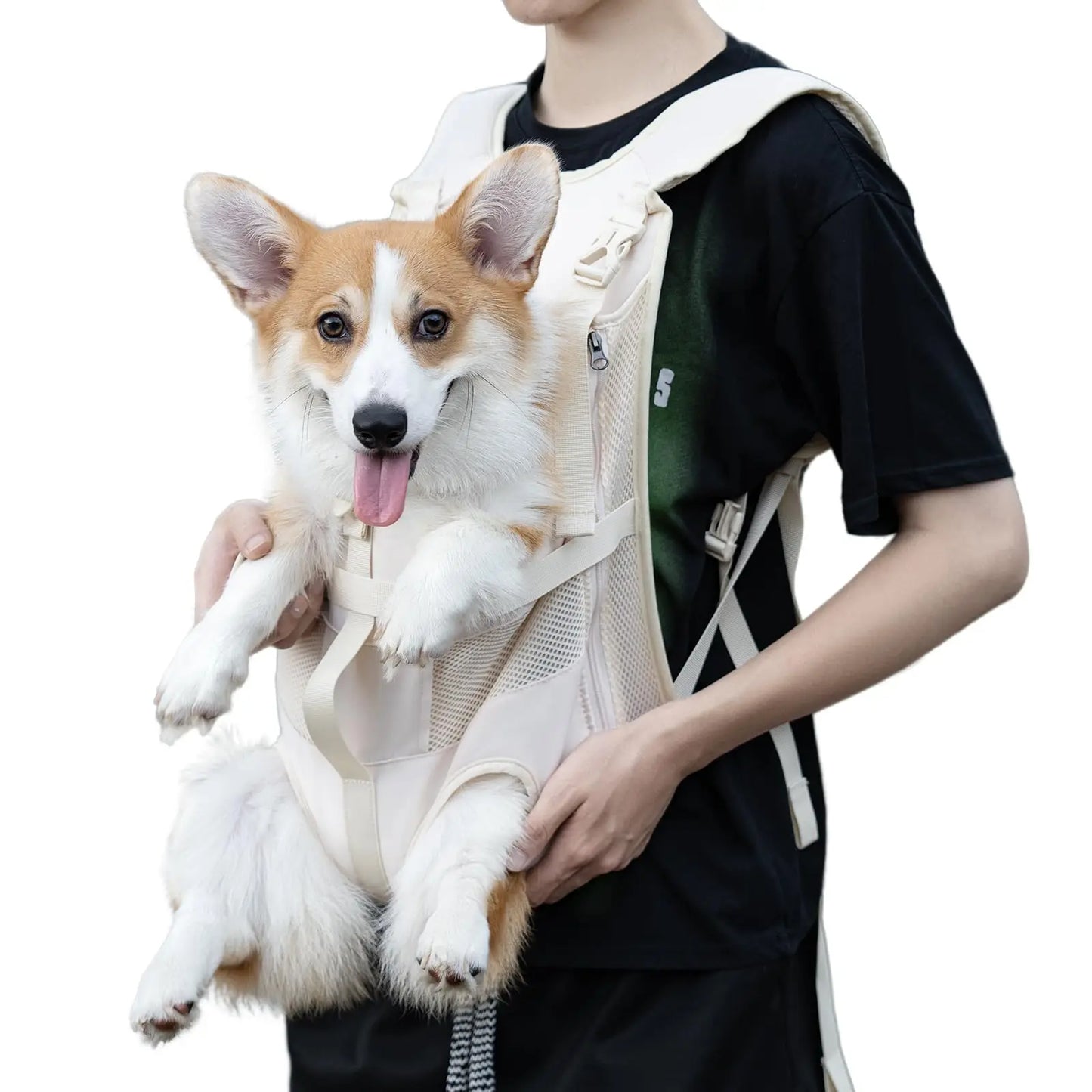 Eco-Friendly & Washable Pet Backpack – Perfect for Traveling with Your Chihuahua or Yorkshire Terrier! 🐾✈️❤️